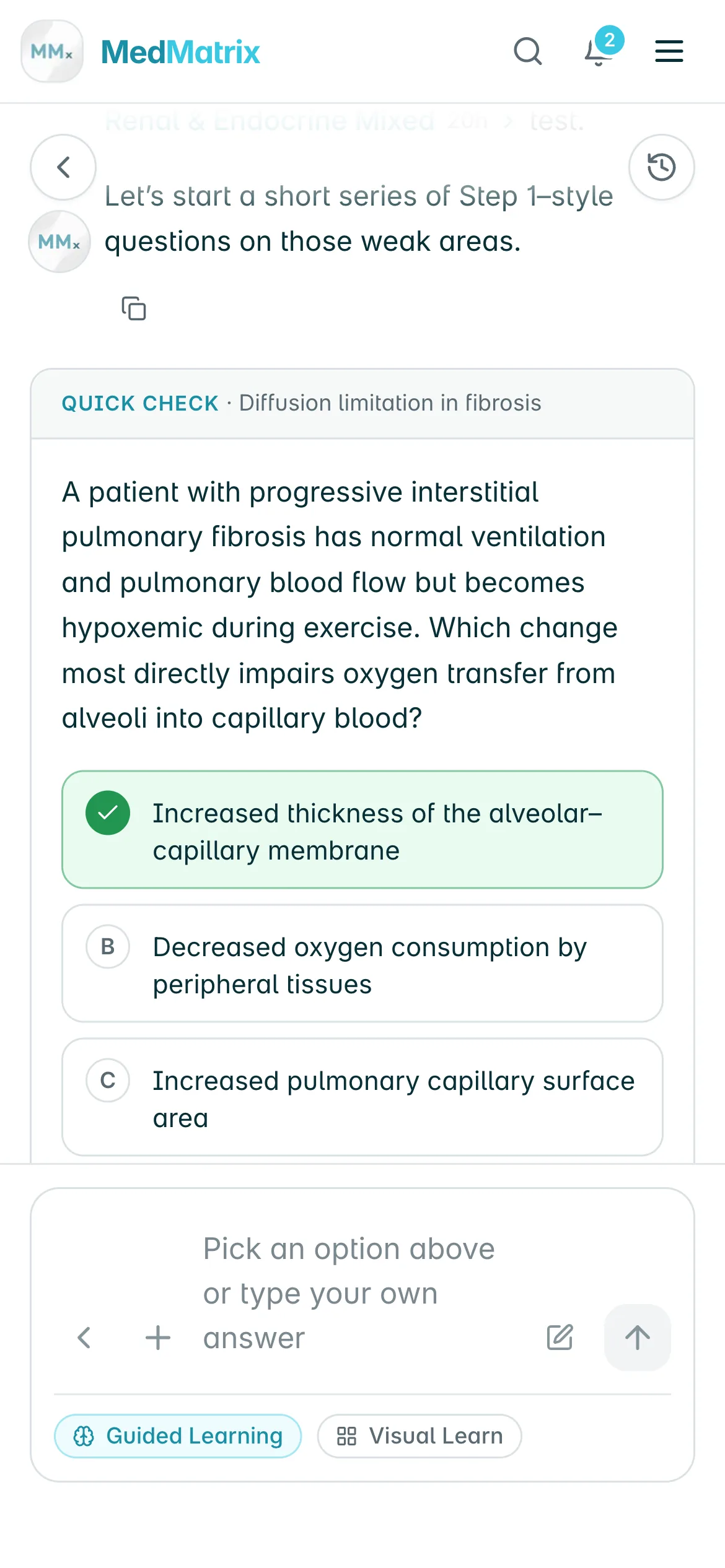 The MedMatrix AI tutor on iPhone